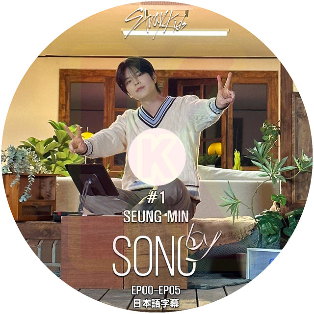 K-POP DVD STRAY KIDS SONG BY SEUNG MIN #1 EP00-EP05 日本語字幕あり Stray Kids ストレイキッズ スンミン KPOP DVD