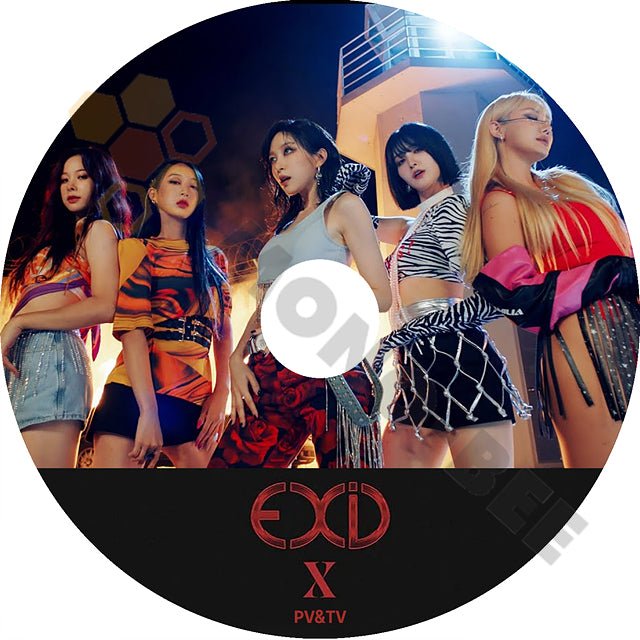 K-POP DVD EXID 2022 PV&TV X FIRE IDK LEGGO 日本語字幕なし イーエックスアイディー ソルジ ハニ ジョンファ ヘリン エルイー - mono-bee