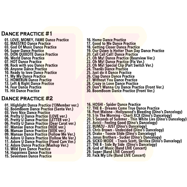 Blu-ray SEVENTEEN 2024 2nd DANCE PRACTICE - LOVE, MONEY, FAME / MAESTRO 他 - セブンティーン セブチ K-POP ブルーレイ