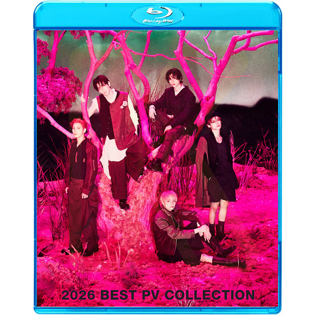Blu-ray TXT 2026 BEST PV - Stick With You / Beautiful Strangers / Love Language 他 - トゥモローバイトゥゲザー KPOP ブルーレイ