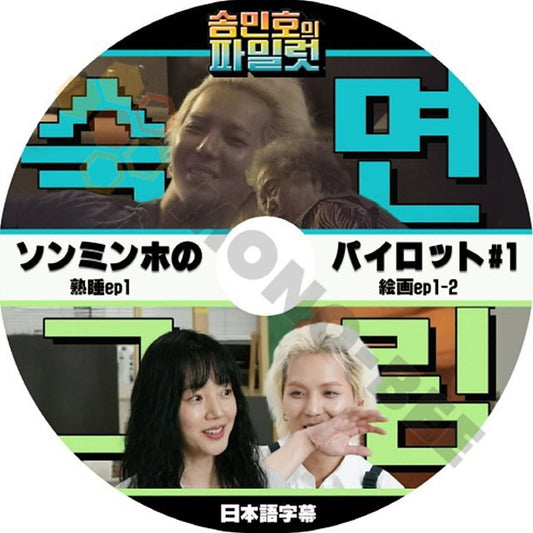 【K-POP DVD】 韓国番組収録 ソンミンホのパイロット#1 (熟睡 ep1, 絵画ep1-2) 日本語字幕有 KPOP [韓国番組収録 DVD] - mono-bee