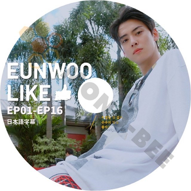 【K-POP DVD] 韓国番組収録 ASTRO EUNWOO LIKE EP01 - EP16 日本語字幕あり-ASTRO EUNWOO 韓国番組収録【K-POP DVD] - mono-bee