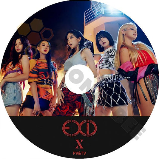K-POP DVD EXID 2022 PV&TV X FIRE IDK LEGGO 日本語字幕なし イーエックスアイディー ソルジ ハニ ジョンファ ヘリン エルイー - mono-bee