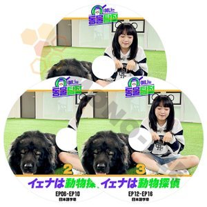 [K-POP DVD] 韓国バラエティー番組 IZ'ONE YENAは 動物探偵 #1 - #3 3枚セットEP01-EP16日本語字幕あり 韓国バラエティー番組　IZ'ONE YENA KPOP DVD - mono-bee