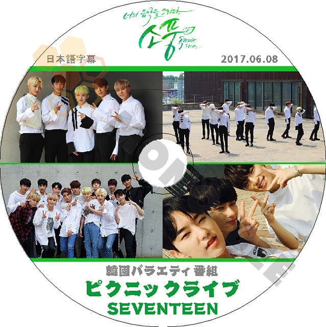 K-POP DVD SEVENTEEN ピクニック ライブ Picnic -2017.06.08- 日本語字幕あり SEVENTEEN セブンティーン セブチ SEVENTEEN DVD - mono-bee