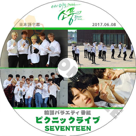 K-POP DVD SEVENTEEN ピクニック ライブ Picnic -2017.06.08- 日本語字幕あり SEVENTEEN セブンティーン セブチ SEVENTEEN DVD - mono-bee