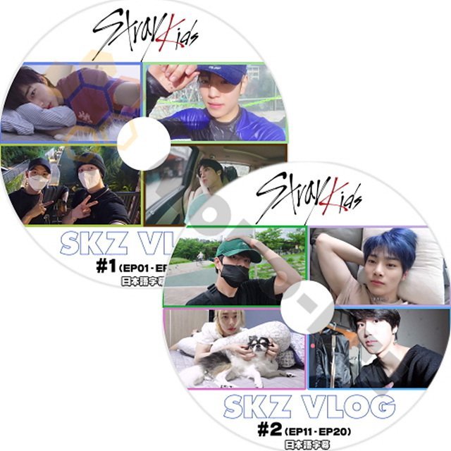 【K-POP DVD] STRAY KIDS SKZ VLOG #1-#2 (EP01-EP20) 2枚 SET (日本語字幕有) - Stray Kids ストレイキッズ 韓国番組収録 STRAY KIDS DVD - mono-bee