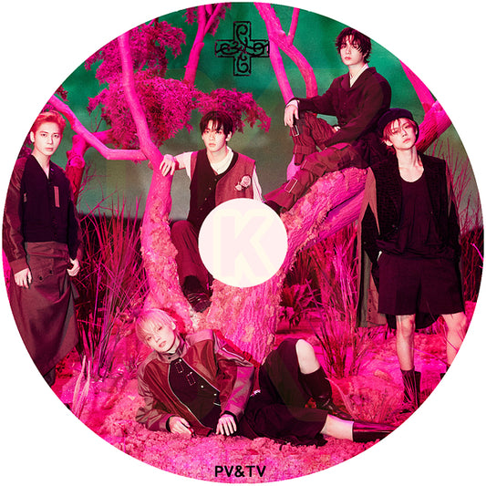 K-POP DVD TXT 2026 PV＆TV - Stick With You / Beautiful Strangers / Love Language 他 - トゥモローバイトゥゲザー KPOP DVD